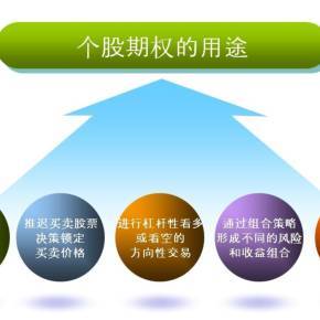 個股期權ABC投資管理 掌握核心策略與風險控制